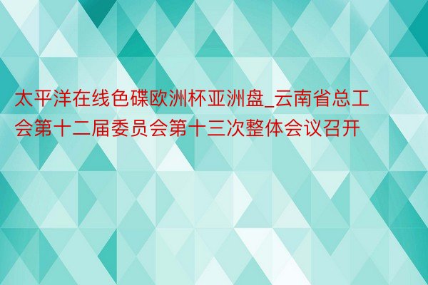 太平洋在线色碟欧洲杯亚洲盘_云南省总工会第十二届委员会第十三次整体会议召开