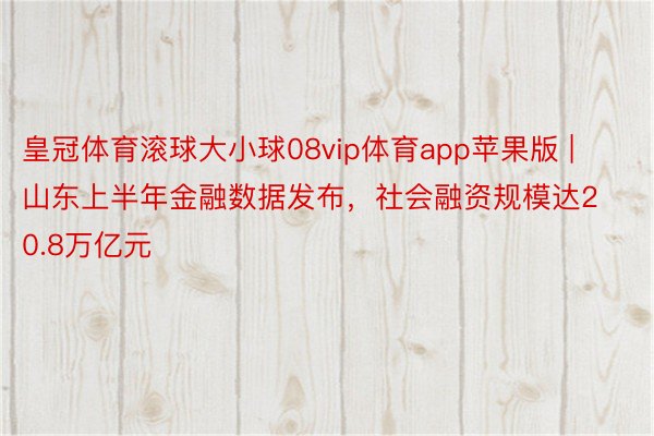 皇冠体育滚球大小球08vip体育app苹果版 | 山东上半年金融数据发布，社会融资规模达20.8万亿元