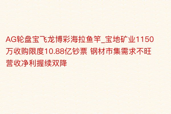 AG轮盘宝飞龙博彩海拉鱼竿_宝地矿业1150万收购限度10.88亿钞票 钢材市集需求不旺营收净利握续双降