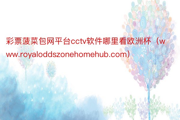 彩票菠菜包网平台cctv软件哪里看欧洲杯（www.royaloddszonehomehub.com）