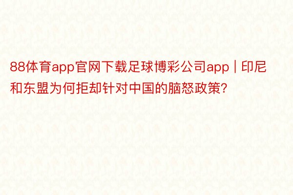 88体育app官网下载足球博彩公司app | 印尼和东盟为何拒却针对中国的脑怒政策？